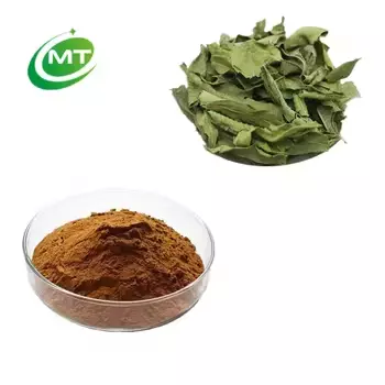 Epimedium Extract