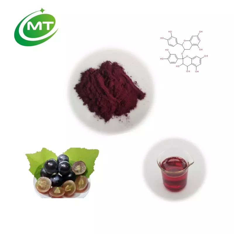Grape Seed Extract