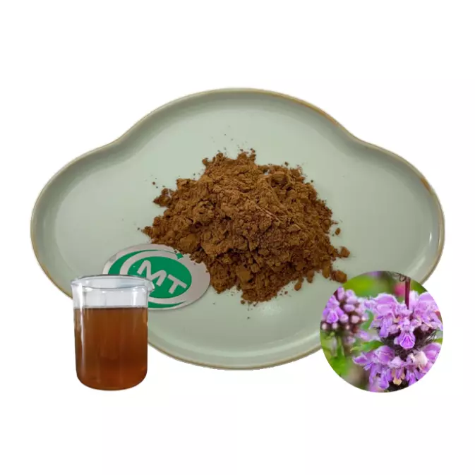 Phlomis Umbrosa Extract