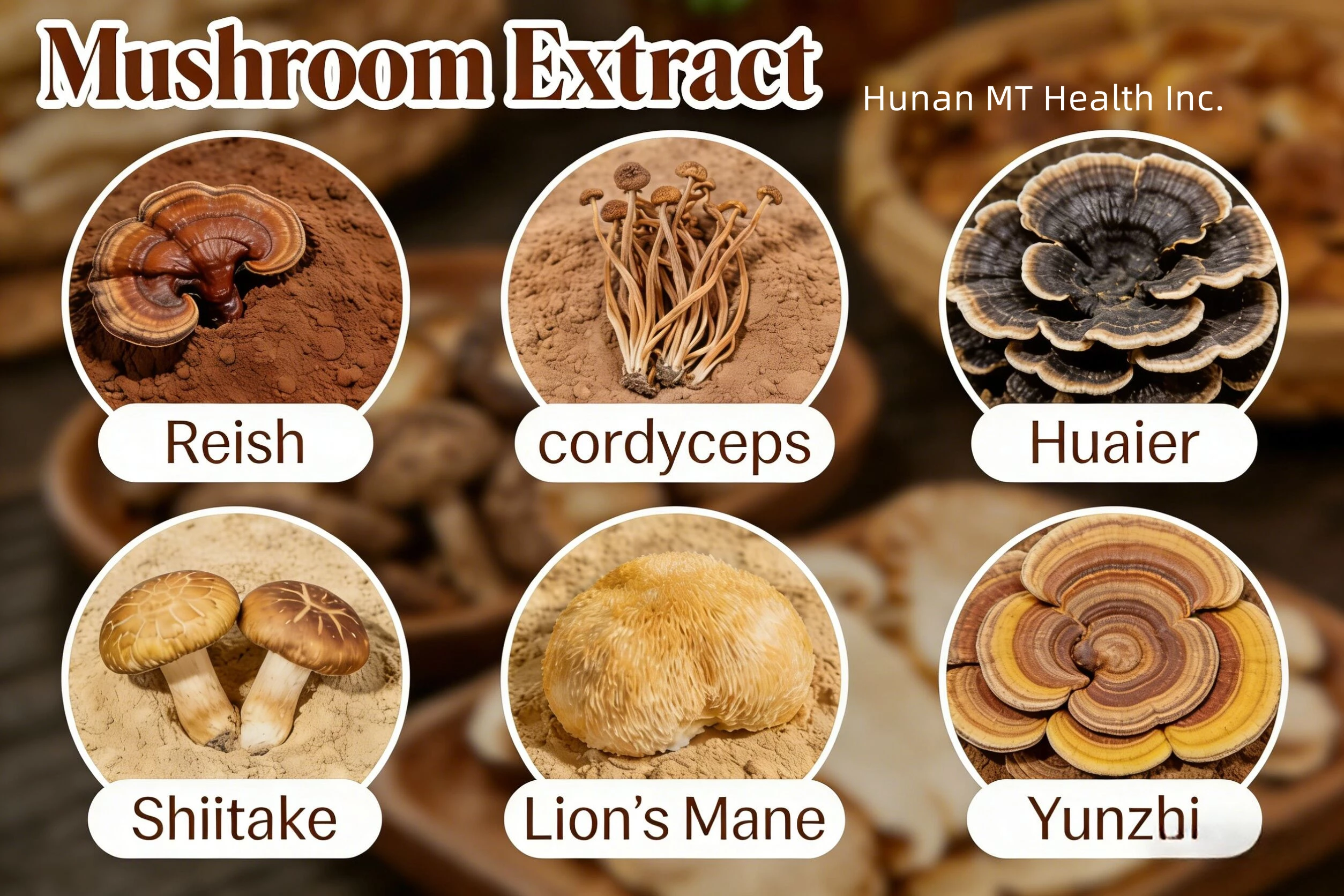 What does mushroom extract do?