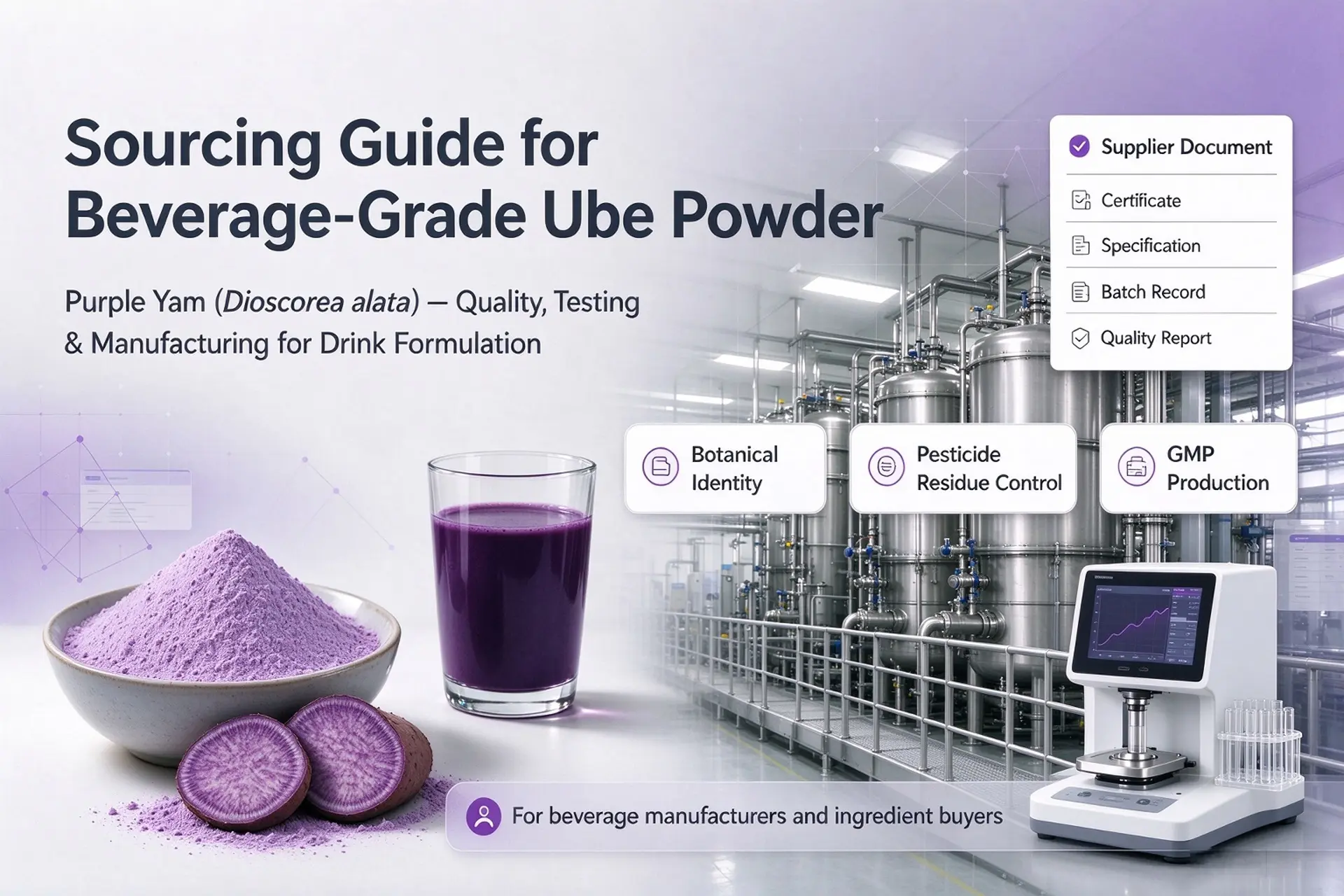 Sourcing Guide: Beverage-Grade Ube Powder