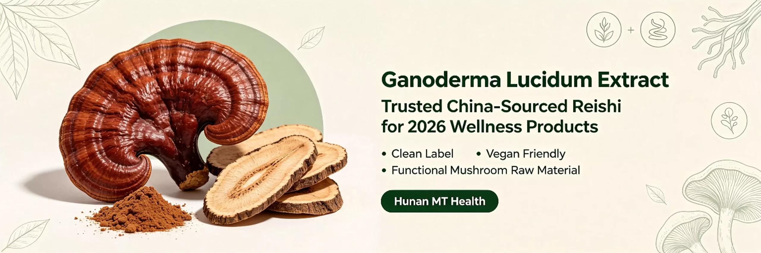 reishi mushroom extract powder