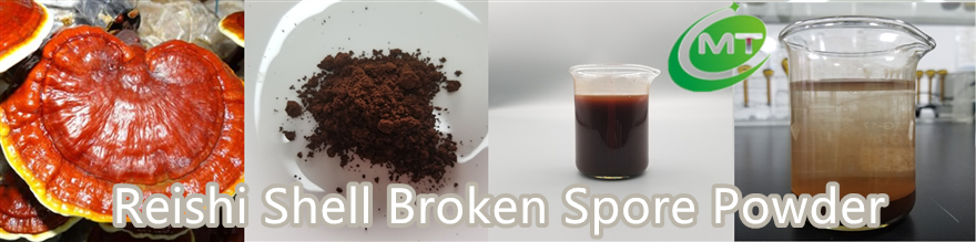 Reishi Mushroom Extract