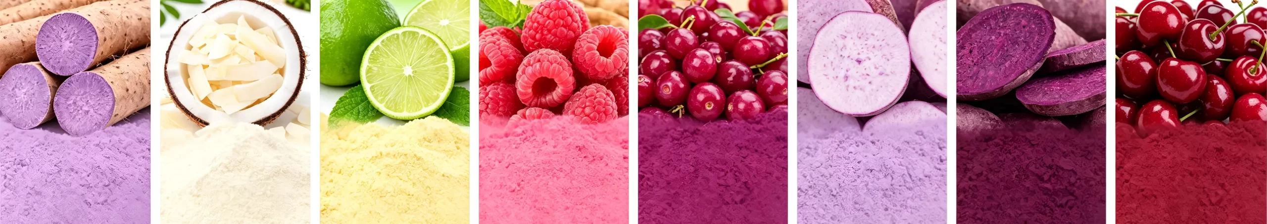 How Specialized Fruit Powders Elevate Food & Beverage Formulations