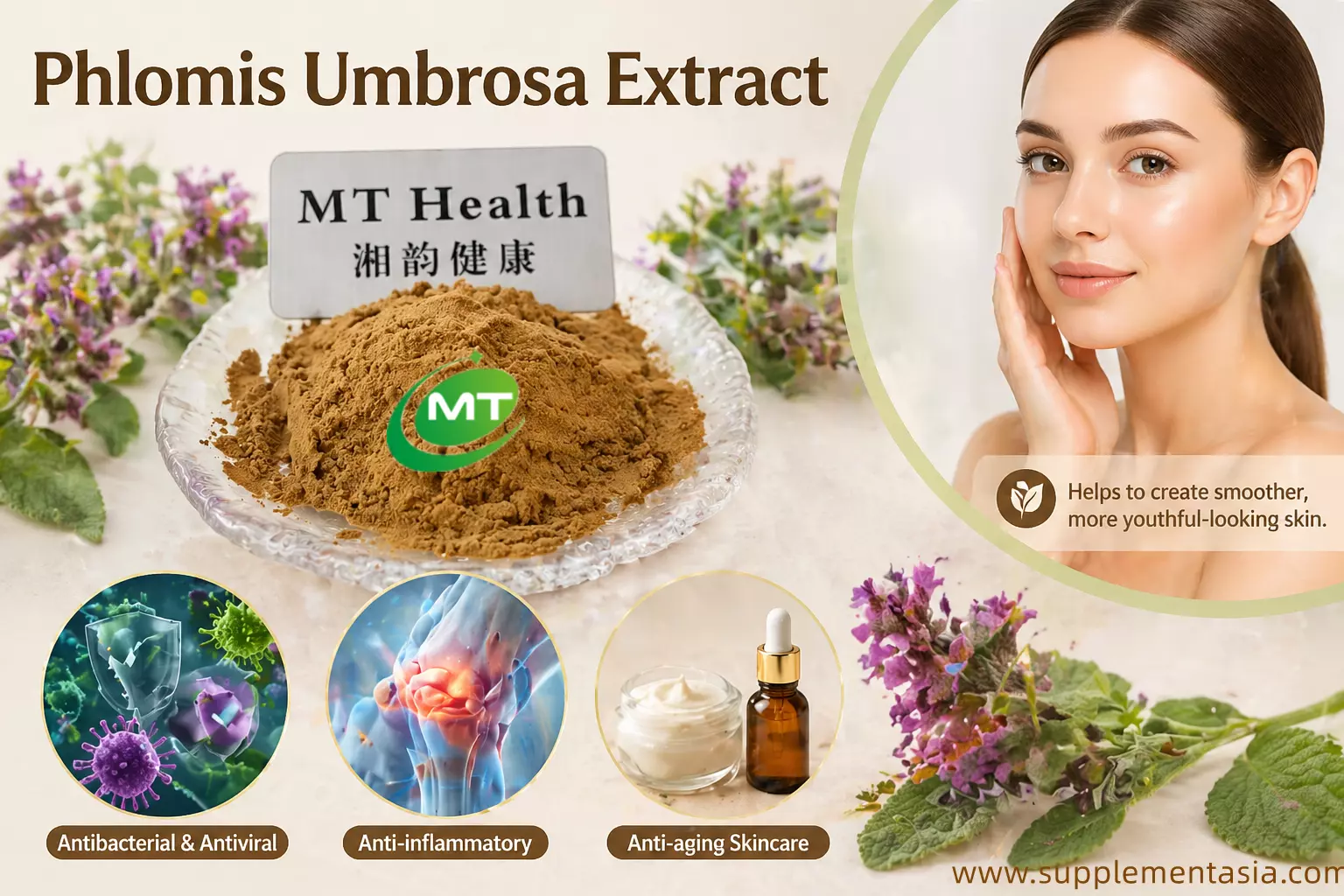 What is Phlomis Umbrosa Used For? Benefits, Applications.