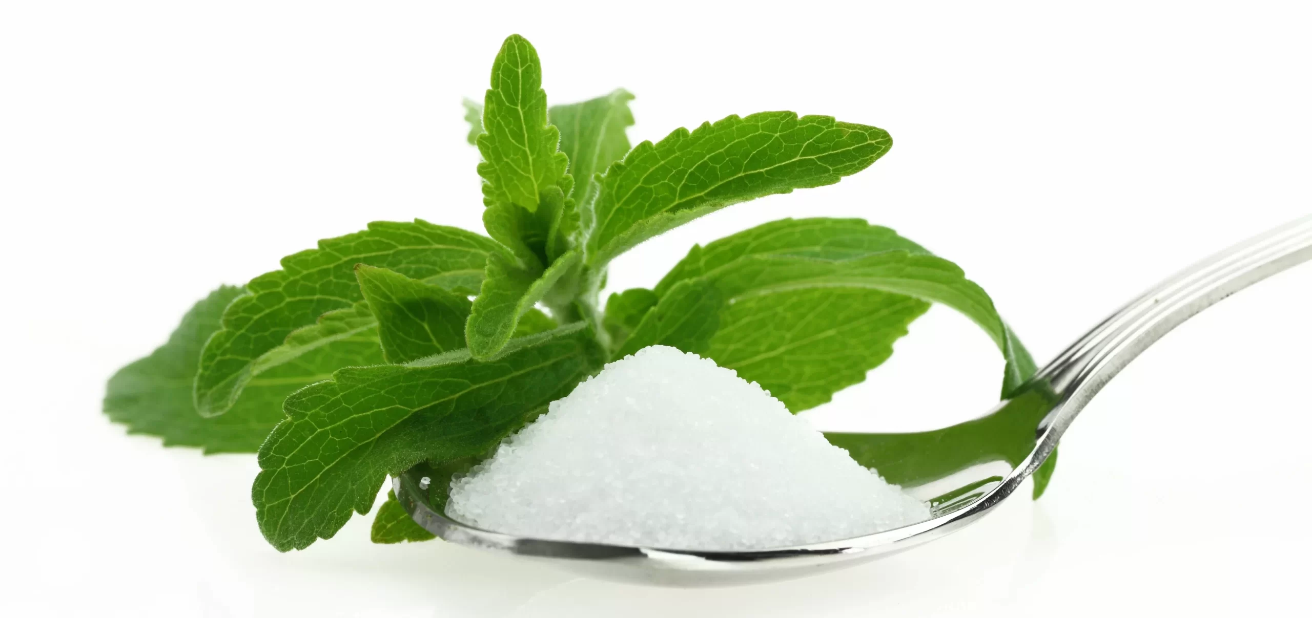 Stevia Powder