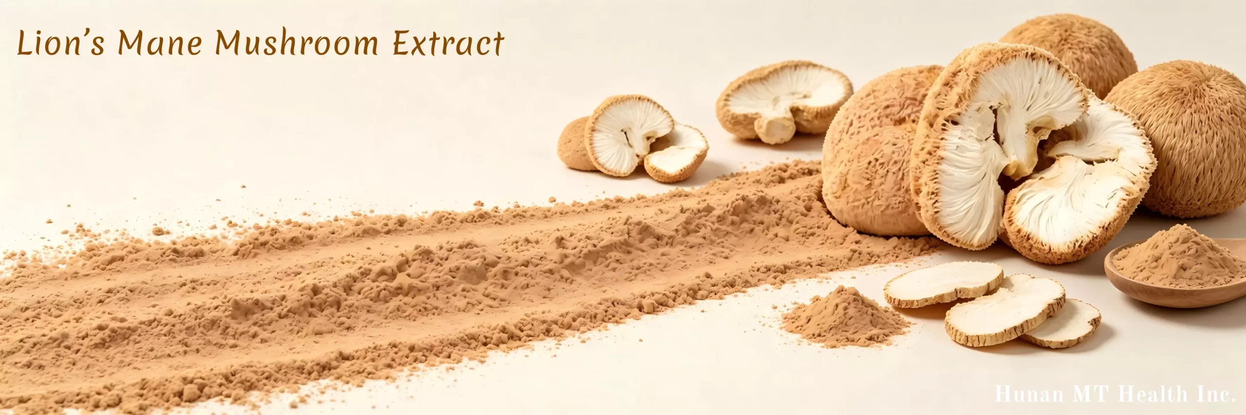 lion's mane mushroom extract