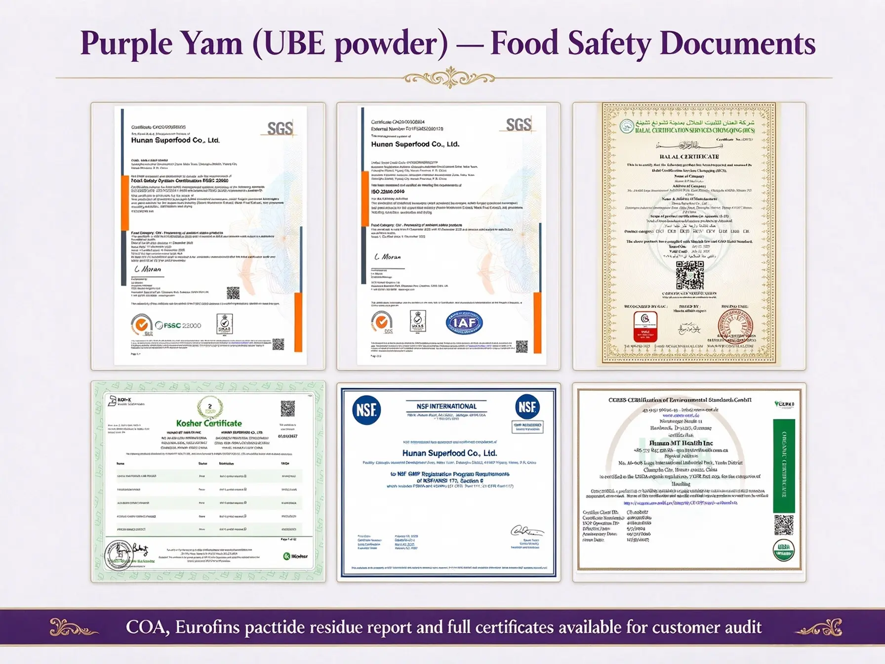 Sourcing Guide: Beverage-Grade Ube Powder